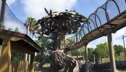 Jacksonville Zoo